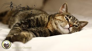 Music for Cats  Relaxing Sleep Music amp Stress Relief  Peaceful Piano Music to Calm Cats [upl. by Zoa]