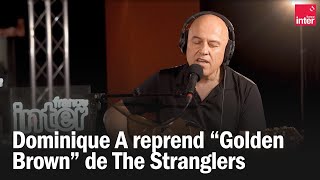 Dominique A reprend quotGolden Brownquot de The Stranglers [upl. by Henricks925]