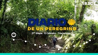 Diario de un peregrino 27º etapa O Cebreiro  Triacastela [upl. by Adahs833]