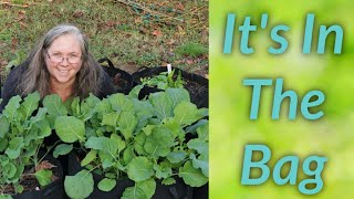 4 Secrets to Growing Vegetables In Grow Bags [upl. by Vassell]