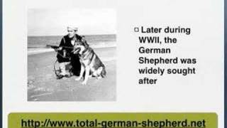 German Shepherd History  German Shepherd Dog history [upl. by Pendleton]