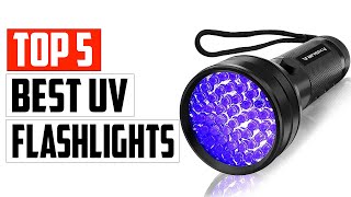 Top 5 Best UV Flashlights To Detect Stains And Fungi In 2023 [upl. by Joseph]