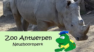 Zoo Antwerpen neushoornperk [upl. by Herc]