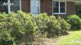 How to Prune Azaleas [upl. by Ainehta]