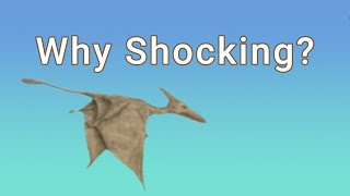 FACT  Pterodactyl Encounters [upl. by Ainesey164]