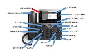 MCAP Cisco 8811 IP Phone Training Module Final YouTube [upl. by Ynnal]