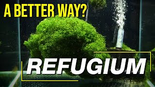 Today’s Refugium Techniques 10 Questions to Guarantee a Controllable Clean High Performance Fuge [upl. by Ahseital]