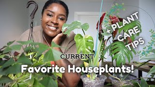 MY CURRENT FAVS   Plant Care Tips [upl. by Frendel]