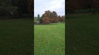 Lissie Field France 🇫🇷 song fyp europe travel vlog shots france love foryou [upl. by Anaitsirk]