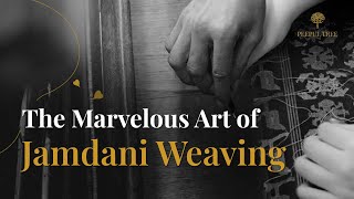 जामदानी बुनाई की अद्भुत कला  The Marvelous Art of Jamdani Weaving jamdanilovers [upl. by Ocramed417]