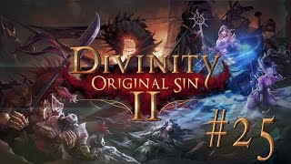 Divinity Original Sin II 25 TROMPDOY RIDDLE  Lets Play [upl. by Boarer]