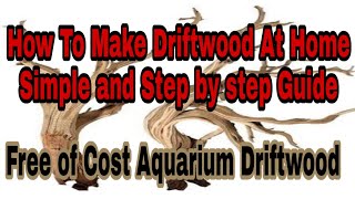 How to make Driftwood  complete step and guide  Aquarium driftwood  theaquapedia [upl. by Warde]