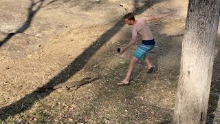 BIG goanna lizard running and chasing person FUNNY  JustBecause [upl. by Alain]