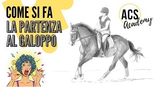 EQUITAZIONE COME SI FA LA PARTENZA AL GALOPPO [upl. by Sherrod953]