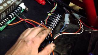 ROAD RUNNER MSD GRID WIRING [upl. by Nerte]