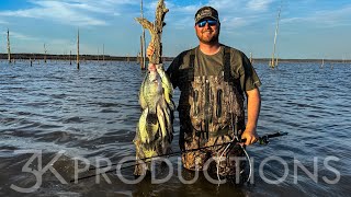 Wading Stump Flats For Mississippi Crappie [upl. by Ilamad]