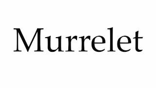 How to Pronounce Murrelet [upl. by Gievlos759]