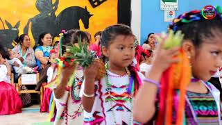 Festival Día de las Madres Bailable Flor de Piña Oax MX [upl. by Ysor]