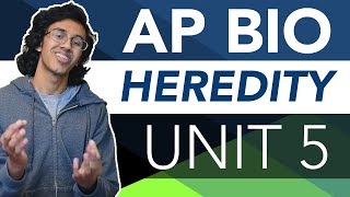 AP Biology Unit 5 Crash Course Heredity [upl. by Xantha673]