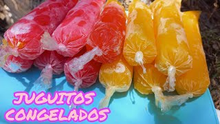 JUGUITOS De Fruta CONGELADOS Caseros Recets Súper Fácil [upl. by Asiat]