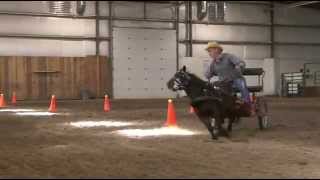 Pattys Pony Place Scurry August 24th [upl. by Etnauq]