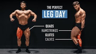 The Perfect Leg Day According To Science [upl. by Urbano34]