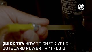 Quick Tip How to Check Your Outboard Power Trim Fluid [upl. by Aneled682]