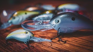 8 Deep Diving Crankbaits You Need To Try  Buyers Guide [upl. by Cardew425]