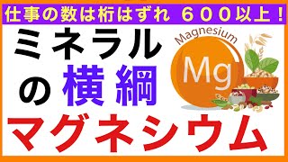 マグネシウム の健康効果［マグネシウムを含む食べ物マグネシウムが多い食べ物］マグネシウム効果食べ物 [upl. by Fanchie473]