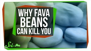 Why Fava Beans Can Kill You [upl. by Norrv]