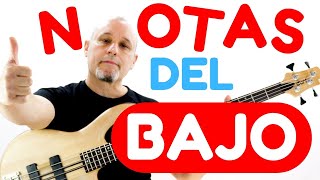 ✅ Notas del Bajo  Notas del Bajo de 4 cuerdas  Cómo aprender las notas del Bajo  TODAS [upl. by Notecnirp]