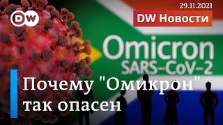 Почему Омикрон так опасен о самом заразном варианте коронавируса DW Новости 29112021 [upl. by Carlson]