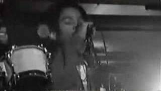 Ziggy Marley amp The Melody Makers  Rebel In Disguise [upl. by Nivel357]