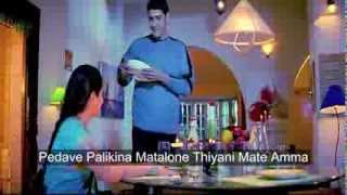 pedave palikina nani telugu movie song lyrics [upl. by Tomkin]