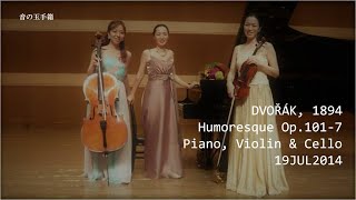 Piano Violin amp Cello Dvořáks seventh Humoresque [upl. by Nikal724]