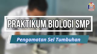 Praktikum Biologi SMP  Pengamatan Sel Tumbuhan [upl. by Nnaihs]