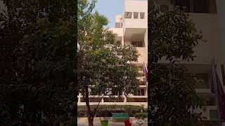 INTERNATIONAL YOUTH HOSTEL  NEW DELHI  YOUTH HOSTELS ASSOCIATION OF INDIA youtubeshorts ytshorts [upl. by Giordano428]