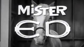 Mr Ed the talking horse theme song [upl. by Rosio]