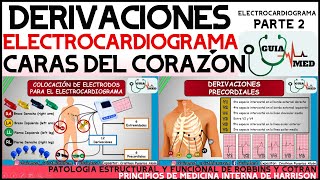 DERIVACIONES ELECTROCARDIOGRAMA Y CARAS DEL CORAZÓN  GuiaMed [upl. by Landahl555]