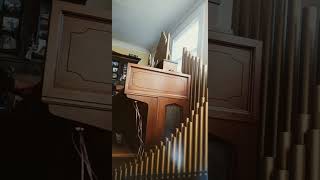 Conn organ Prelude BWV 532 D Major [upl. by Nodyl]