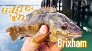 Ultra Light LRF Lure Fishing Brixham Devon [upl. by Vinny249]