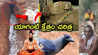 యాగంటి క్షేత్రం చరిత్ర పూజారిగారి మాటల్లో  Yaganti history yaganti basavanna [upl. by Suoirtemed]