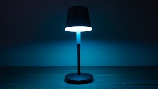 Philips Hue Go Portable Table Lamp Review [upl. by Gwendolyn387]