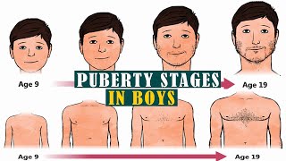 Puberty Unveiled How Boys and Girls Experience Different Physical Changes shorts puberty [upl. by Refinnaej412]