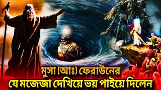 মুসা নবীর যে মজেযা দেখে ফেরাউন মুসার কাছে প্রাণ ভিক্ষা চাইলেন mucha nobir jiboniislamik [upl. by Nemlaz]