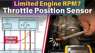 Dont Regret Buying a New Throttle Body Without Watching This First [upl. by Epilif]