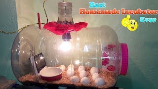 DIY  HOMEMADE INCUBATOR  HOW TO MAKE AN EGG INCUBATOR  HATCHING CHICKEN EGGS [upl. by Ahel]