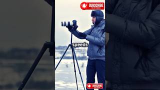 Master Shutter Speed in 60 Seconds facts photography lens shutterspeed wildlifephotography [upl. by Okier]