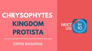 Chrysophytes  Kingdom Protista  NEET Biology  NEET UG in 10 [upl. by Ennael310]