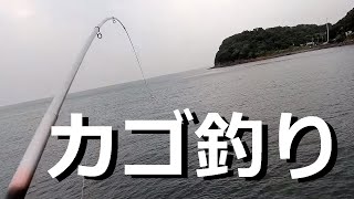 海釣り公園とっとパークでカゴ釣りや喰わせサビキ釣り！ [upl. by Nawed]